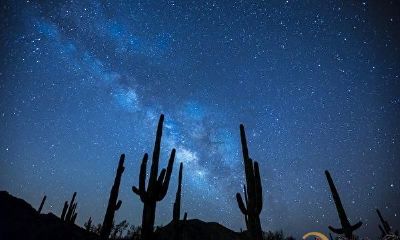 「定数篇」摸骨算命极准 十年后全得证