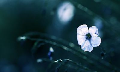 八字中辛金女的婚姻幸福美满吗？辛金女的命运怎么样？