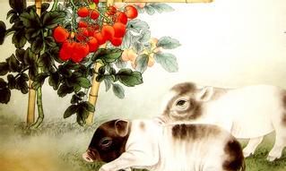 生肖猪的人生在这几个月份命好