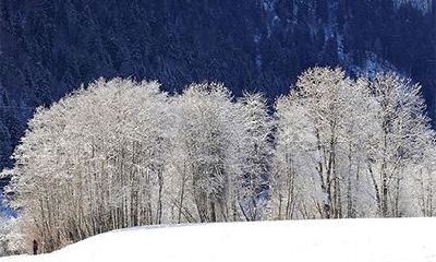 八字合婚主要看哪一柱？相同日柱的人可以做夫妻吗？