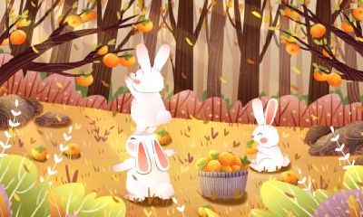 十兔九苦是真的吗？最命苦的兔几月出生？