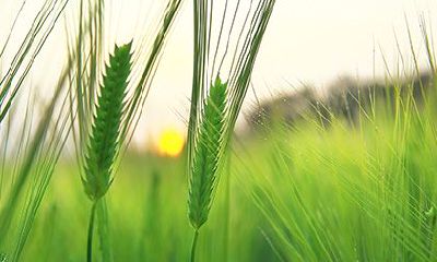 紫微星入子女宫为什么不好？孩子有出息的紫微命盘