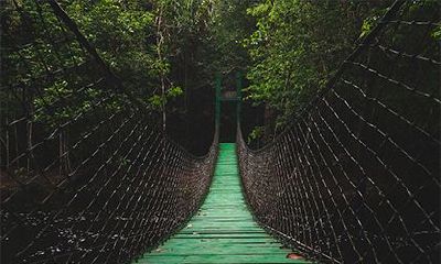 八字中哪个代表子女宫？八字看子女缘何时到