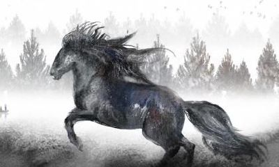 2023年属马人的桃花运怎么样？旺不旺？