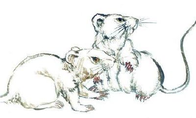 中国十二生肖的由来——鼠