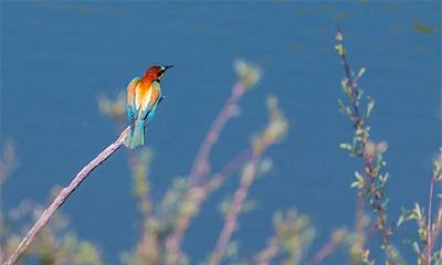 女命带三官必做娼什么意思？娼妓命女之命八字