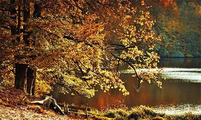 命硬的女生要嫁什么人？八字硬的女人命运好吗？