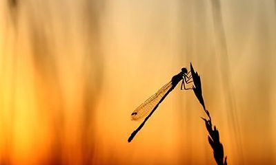 命里偏财多的男人好不好？男命只有偏财的婚姻