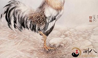 十二生肖：生肖鸡的五行与命运
