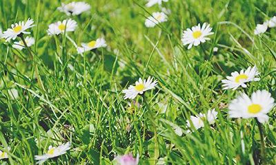 八字无根成不了大事吗？八字无根命不长吗？