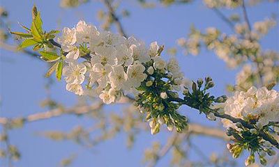 命理上发生过关系算不算夫妻？孽缘一般纠缠多久？