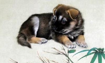 属狗人住几楼最吉利 属狗的人适合住几楼