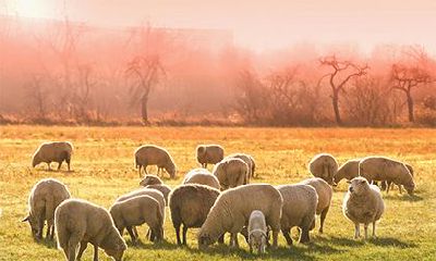 当命中注定的人出现有啥感觉？正缘错过了怎么办？