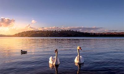 正缘会在你什么情况下出现？怎么算正缘出现的时间？