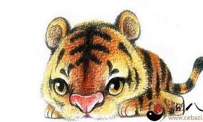 有能耐，本事大，最能给人安全感的4个生肖，看看有你吗