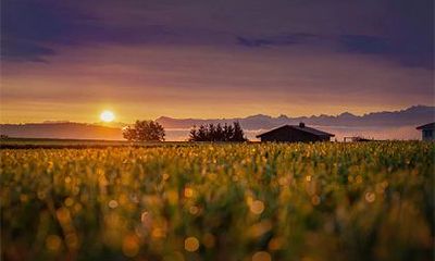 老人几点去世对子女好？去世时辰吉凶查询表