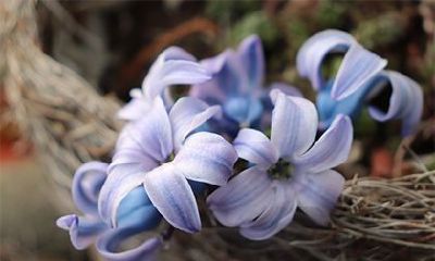 2022年农历九月二十三日子怎么样？是黄道吉日吗？