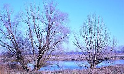 本命年戴什么转运属虎？虎年化解太岁最简单的方式