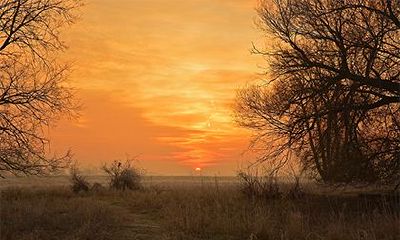 三月适合旅游的地方有哪些？一个人旅行适合去哪里？