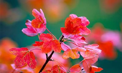 2022年农历九月二十四是吉日吗？卦象如何？