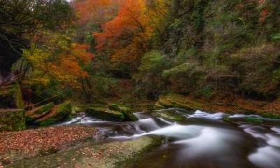 2022立秋当天做什么提升运气？如何开运