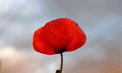 2022年农历九月二十五黄历宜忌什么？是吉日吗？