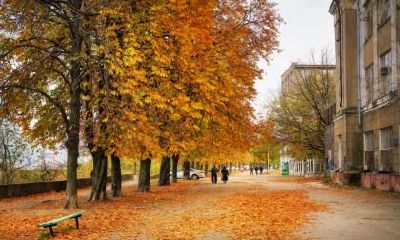 立秋之前的节气是什么？立秋是什么季节