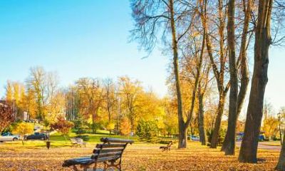 立秋开什么花？立秋三侯指的是什么