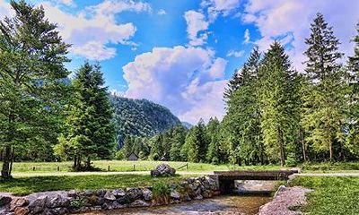 为什么孤鸾煞最喜七杀？孤鸾煞怎么查？