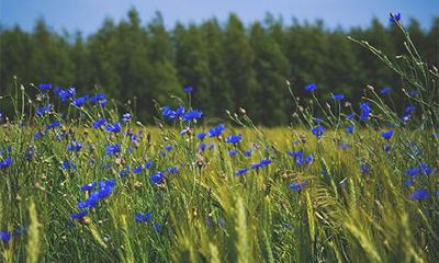 2022壬寅牛年三月三十日子好不好？装修动土好吗？
