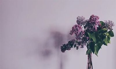 农历三月是卯月还是辰月？开什么花？