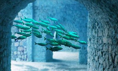 八字弱容易招脏东西吗？八字弱佩戴什么辟邪？