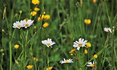 2022农历虎年三月二十八日是可以动土的日子吗？