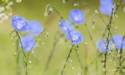 2022年三月二十七老黄历日子好吗？适合装修动土吗？