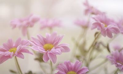 2022虎年三月二十七日子好吗？求婚合不合适？