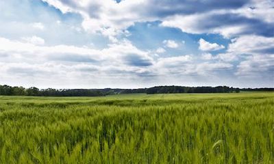 2022年三月二十三这天的日子怎么样？装修动土好不好？