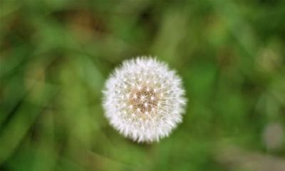 射手座为何常常吸引住异性朋友的关心？