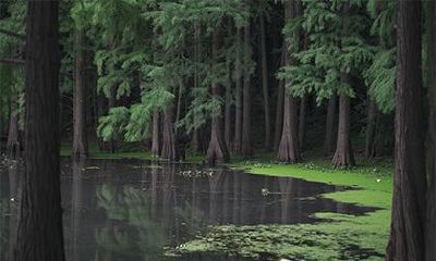 多少岁适合走帝旺运？走帝旺运的特点