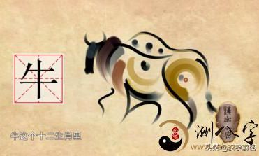 12生肖牛的来历：属牛的朋友们注意了，属牛也要知道来历