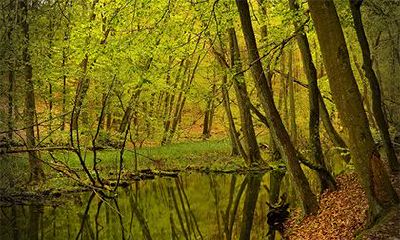 迁移宫空宫代表什么？迁移宫象征什么？