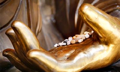 白蜡金命五行缺什么？属什么？