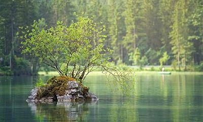 2022壬寅虎年三月十八适合动土装修吗？