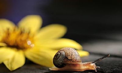 2022年农历三月十六的日子好吗？当天装修动土好不好？