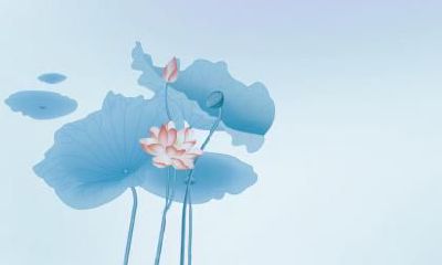 2022年夏至前一日是什么日子,有什么忌讳?