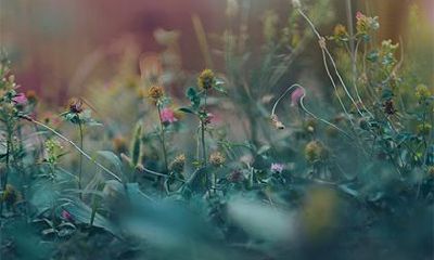 2022壬寅虎年三月十四是动土的黄道吉日吗？