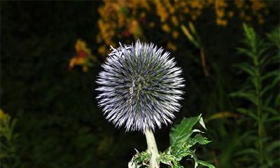 农历2022虎年三月十三日的日子好吗？装修动土如何？