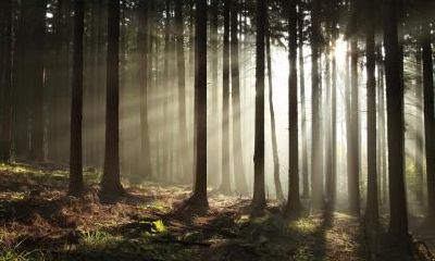 2022夏至日出时间和日落时间分别是多少？