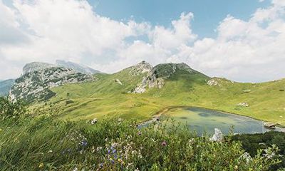 两个大林木命的人结婚好么？大林木命最佳婚配