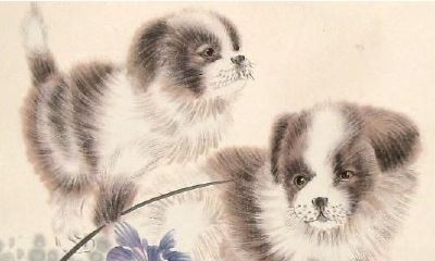 肖狗人若出生在这5个日子，财神关照、双喜临门！