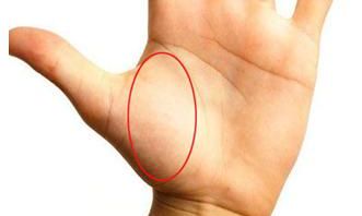 简单手面相一看就会